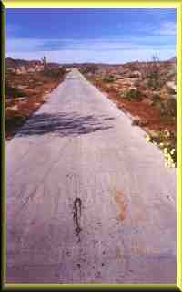 Lint Access Road looking North