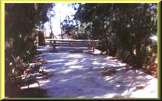 Shaded picnic area.