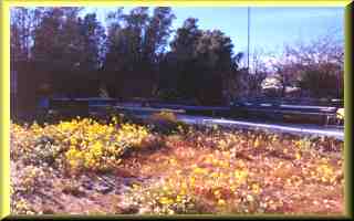 Shaded picnic area.