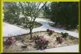 Views around the outside of Lint's home.