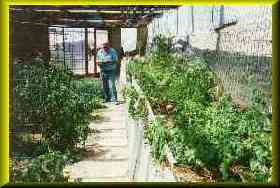 Gordon's Underground Winter Garden.