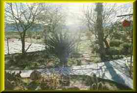 Gordon's Underground Winter Garden.