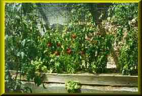 Gordon's Underground Winter Garden.