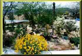 Views around the outside of Lint's home.
