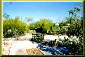 Views around the outside of Lint's home.