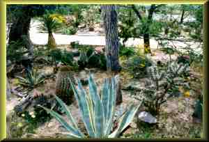 Views around the outside of Lint's home.