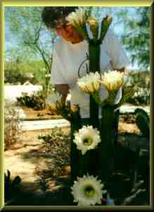 Jean and a desert flower.