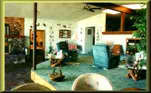 Living Room area with fireplace to the left.