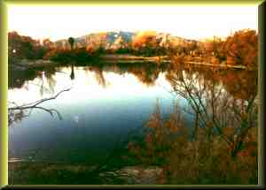 Pete's Oasis with duck and geese on lake.