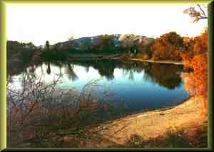 Pete's Oasis with duck and geese on lake.