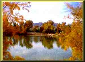 Pete's Oasis with duck and geese on lake.